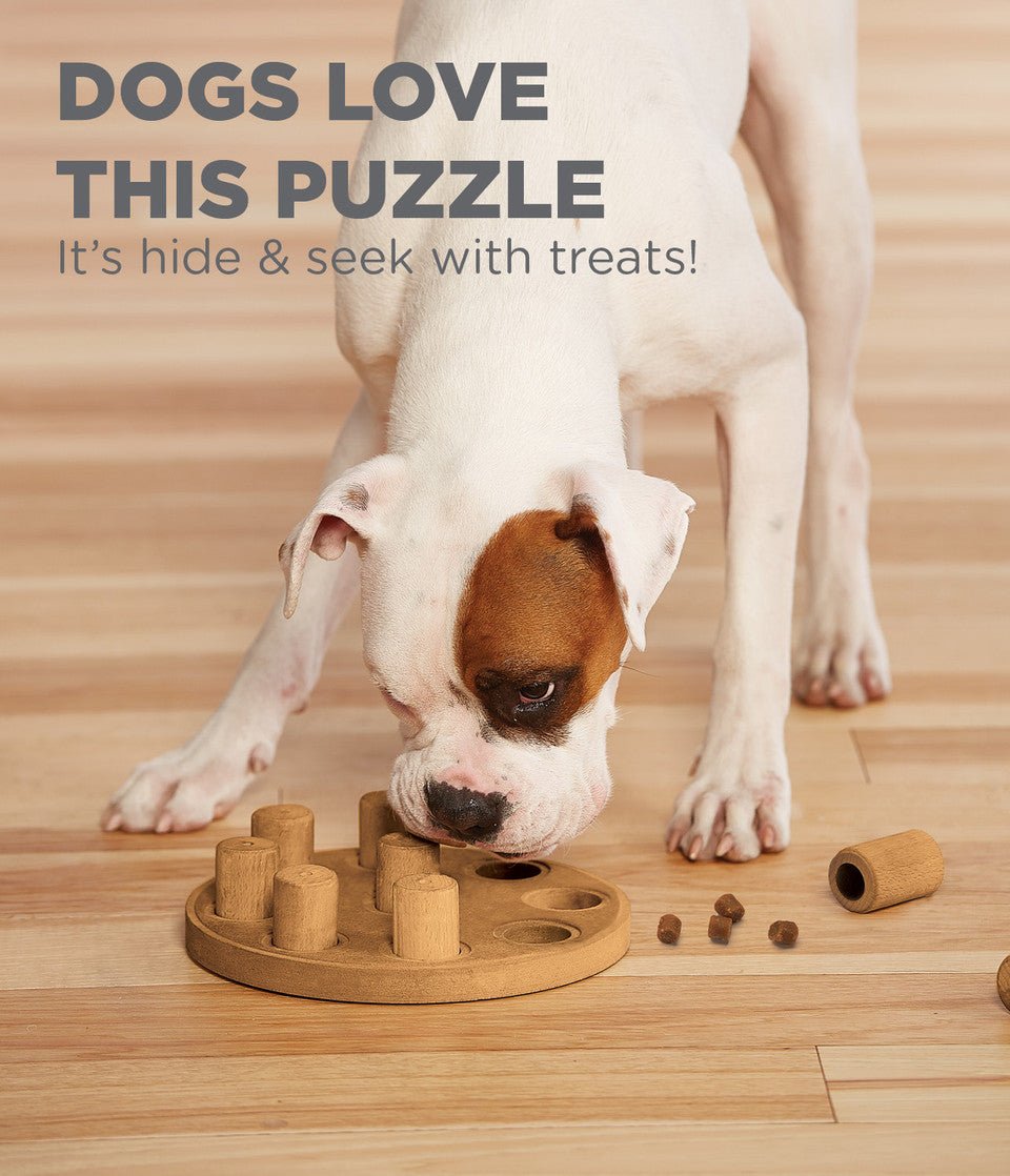 Dog Smart Composite Interactive Treat Puzzle Dog Toy, Tan - Eva Pet - Outward Hound