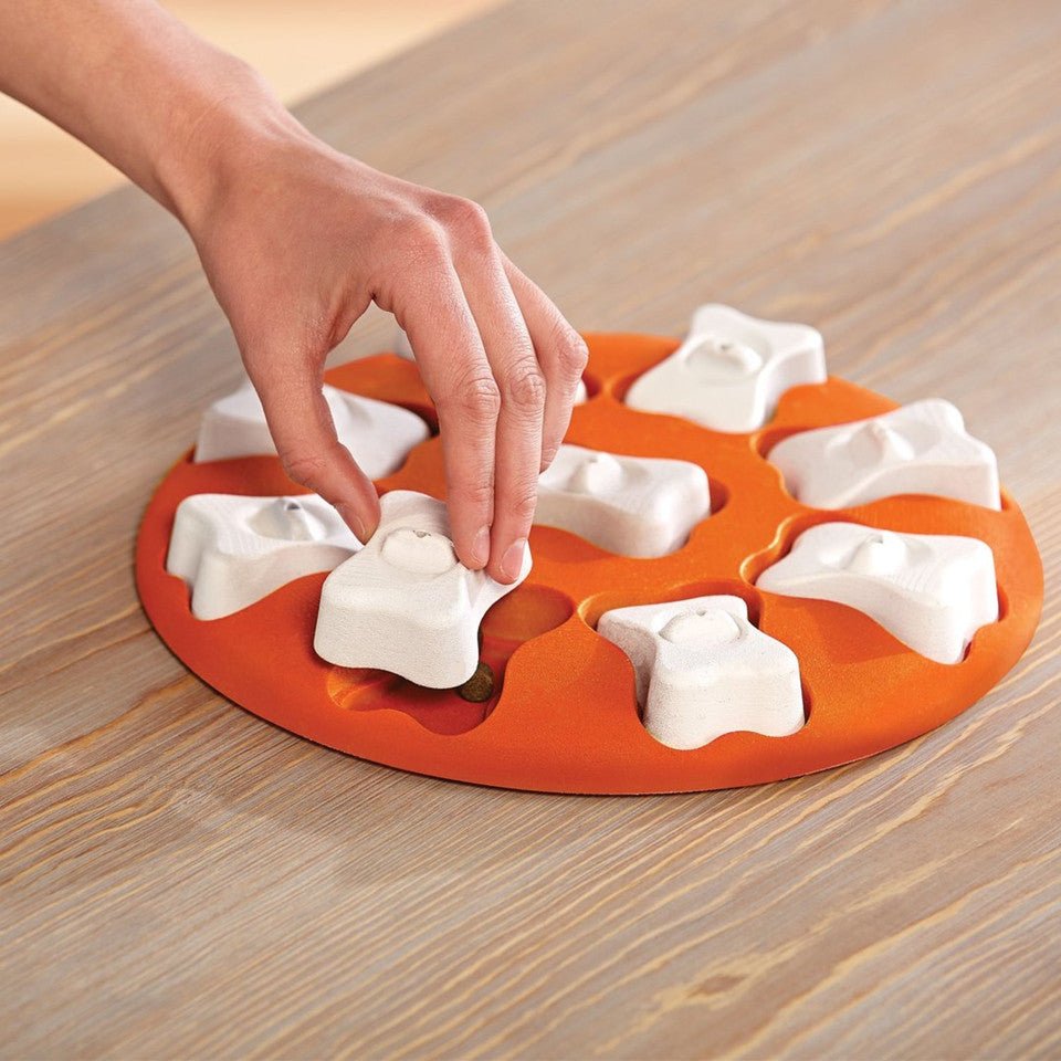 Dog Smart Interactive Treat Puzzle Dog Toy, Orange - Eva Pet - Outward Hound