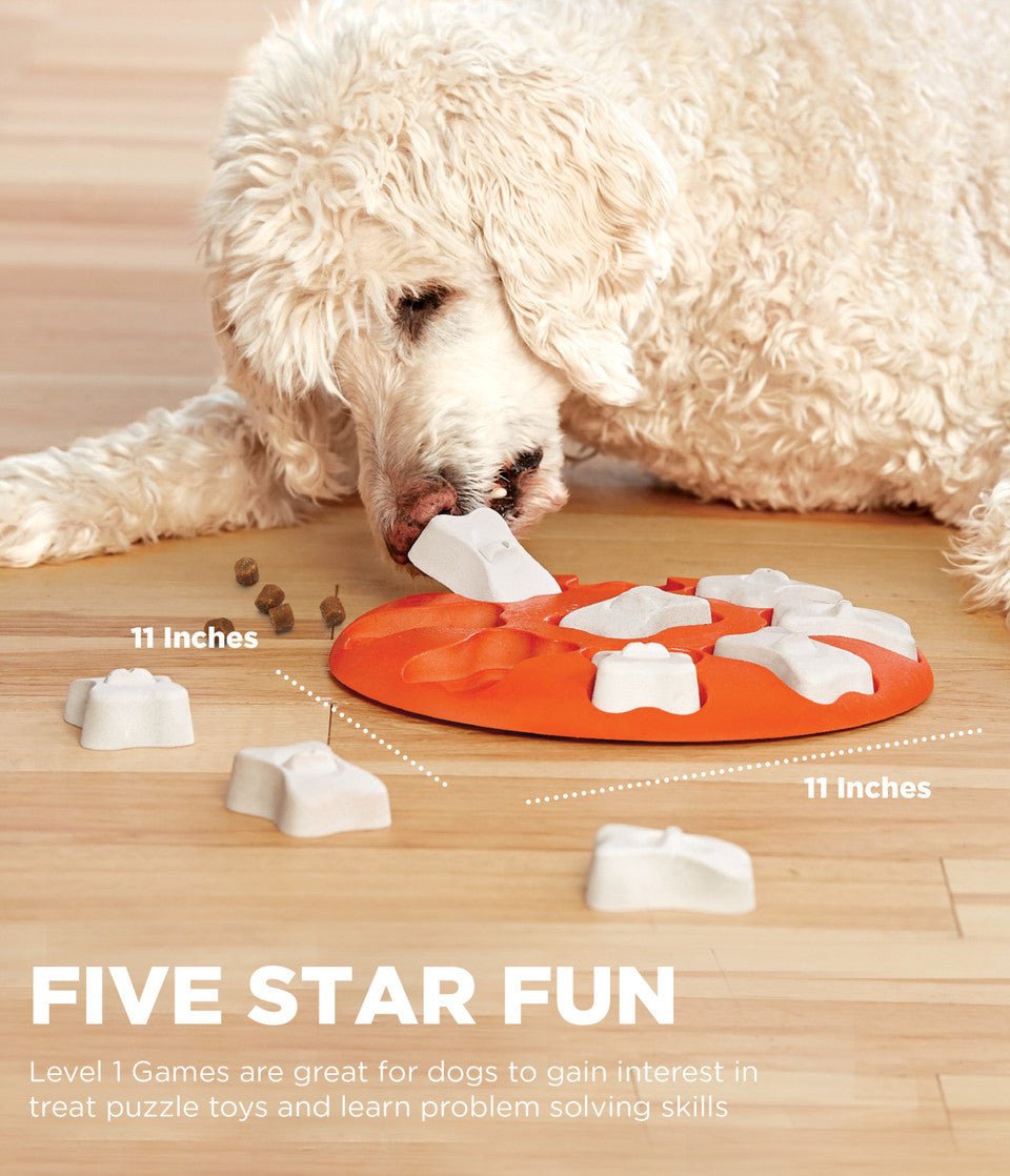 Dog Smart Interactive Treat Puzzle Dog Toy, Orange - Eva Pet - Outward Hound