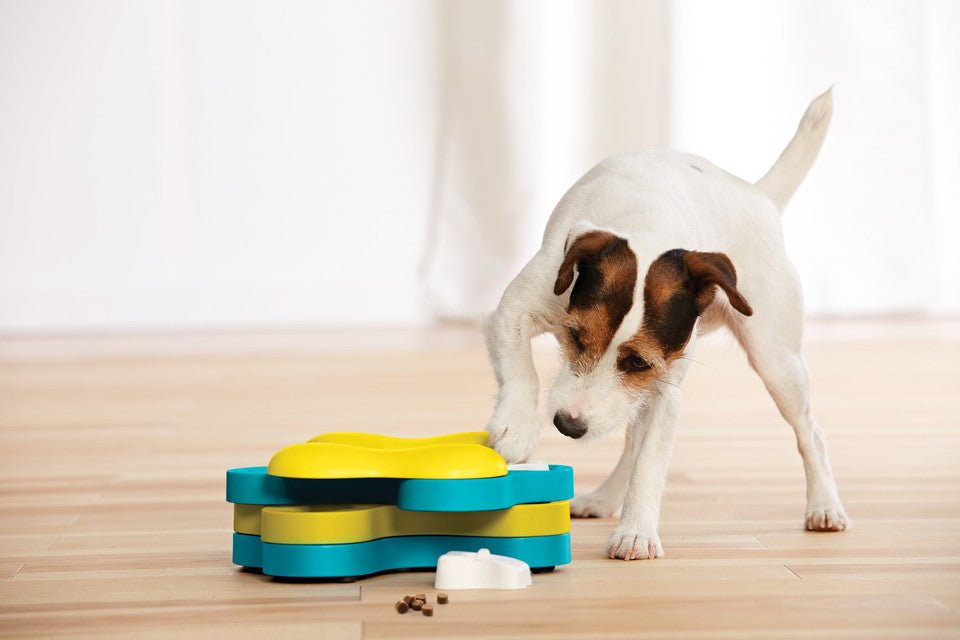 Dog Tornado Interactive Treat Puzzle Dog Toy, Blue - Eva Pet - Outward Hound
