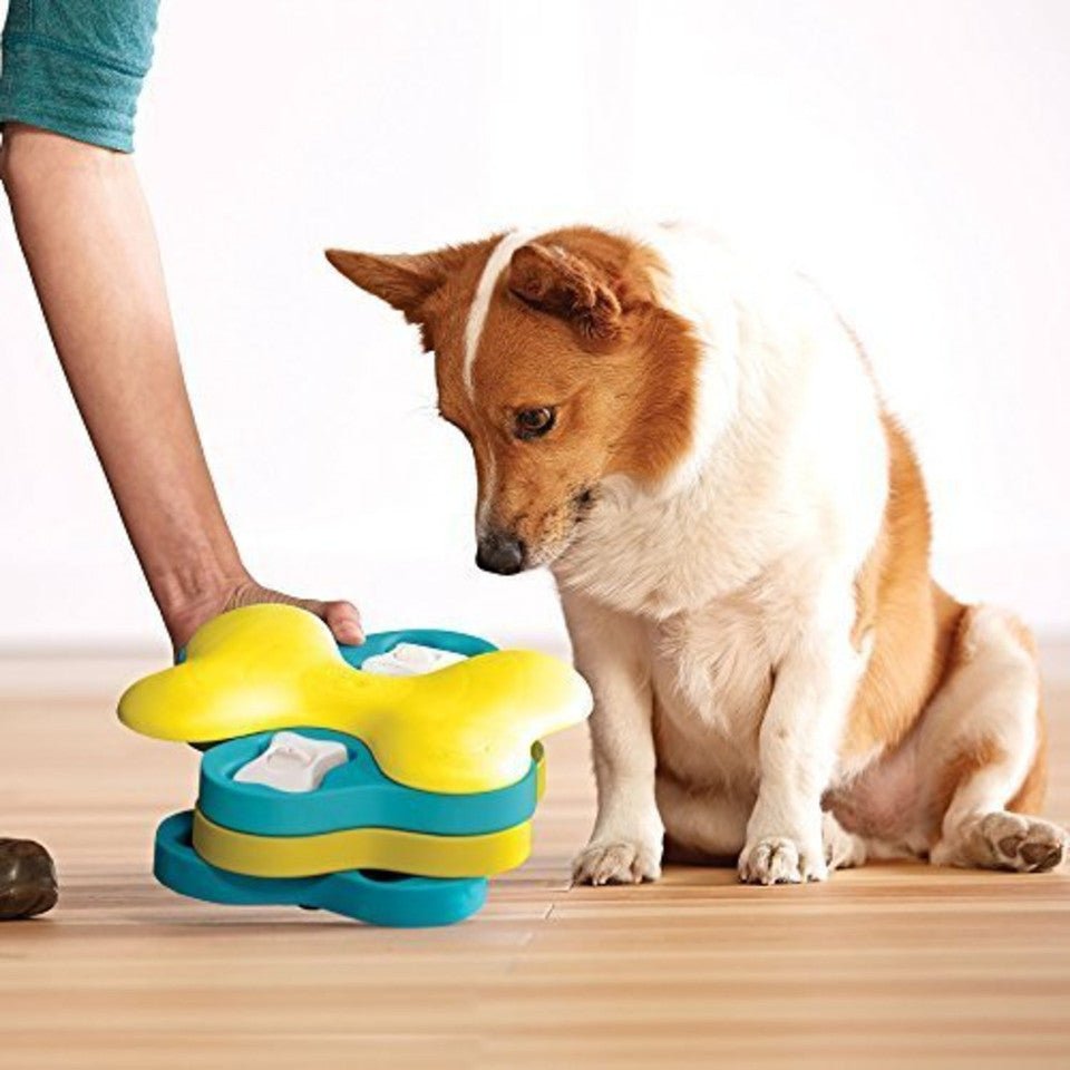 Dog Tornado Interactive Treat Puzzle Dog Toy, Blue - Eva Pet - Outward Hound