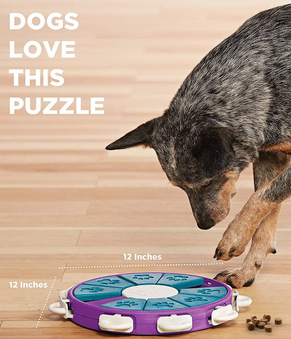 Dog Twister Interactive Treat Puzzle Dog Toy, Purple - Eva Pet - Outward Hound