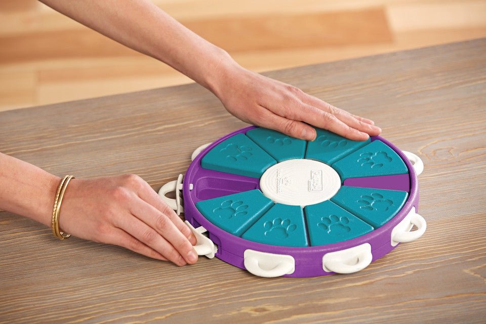 Dog Twister Interactive Treat Puzzle Dog Toy, Purple - Eva Pet - Outward Hound