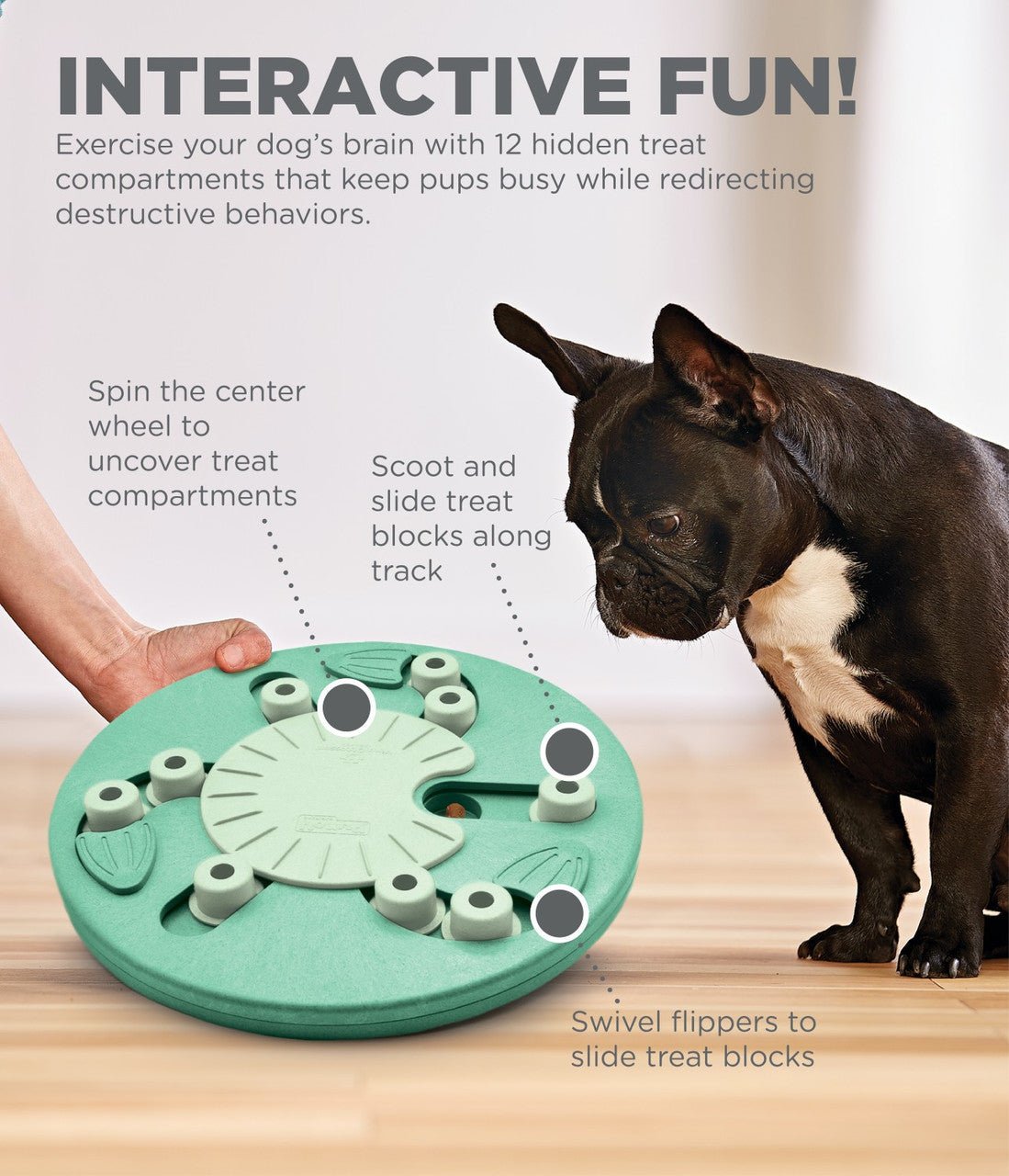 Dog Worker Interactive Treat Puzzle Dog Toy, Green - Eva Pet - Outward Hound
