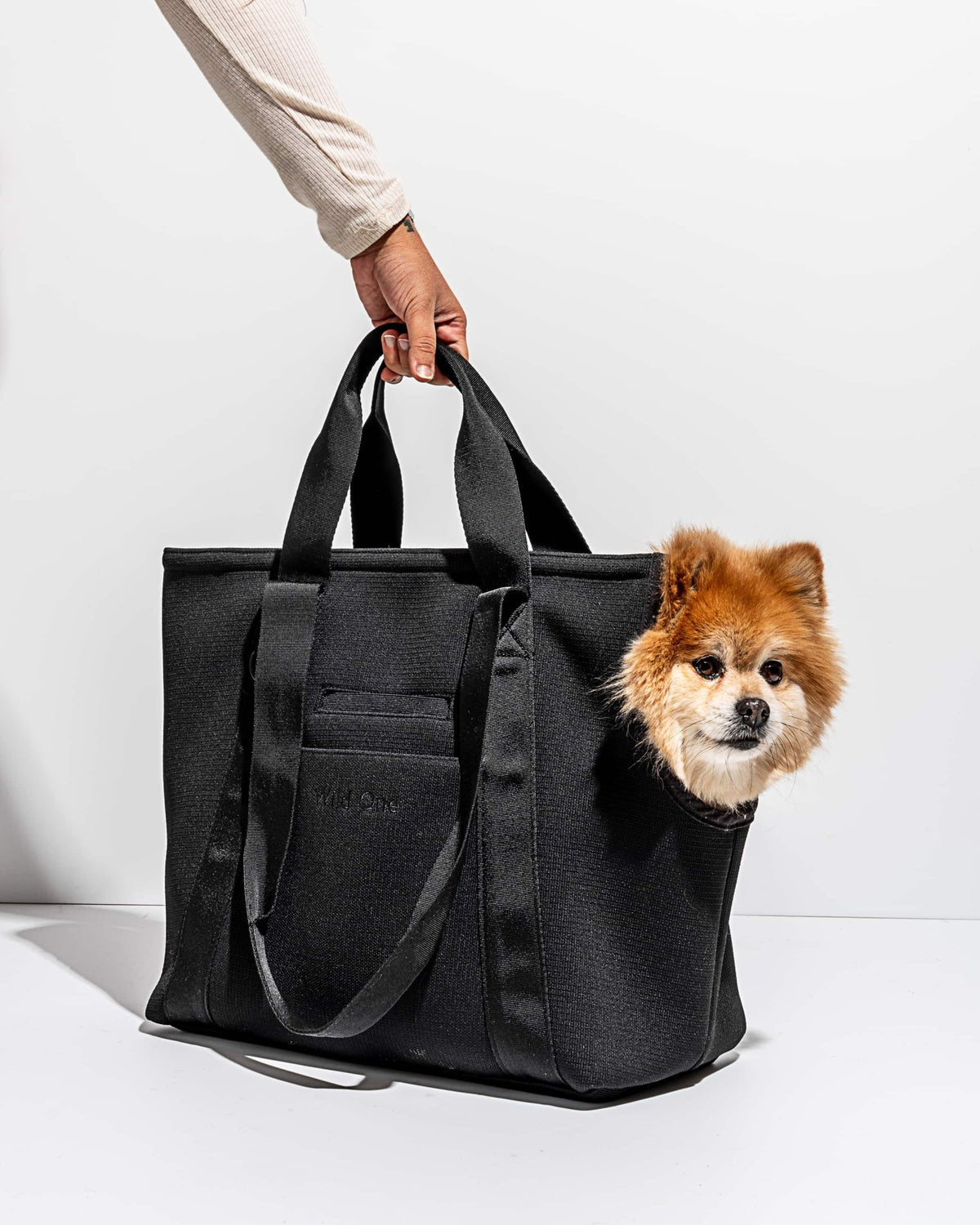 Everyday Carrier - Eva Pet - Wild One