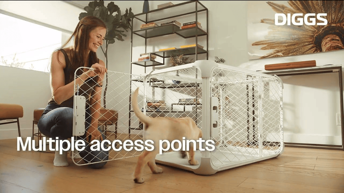 Evolv Dog Crate - Eva Pet - Diggs