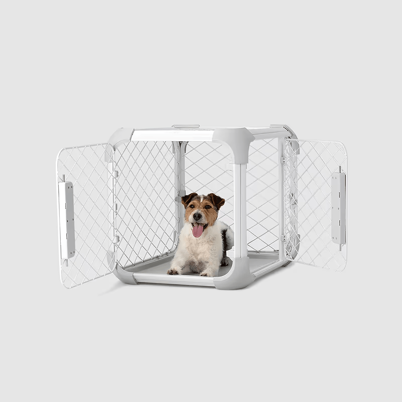 Evolv Dog Crate - Eva Pet - Diggs