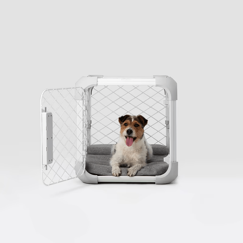 Evolv Dog Crate - Eva Pet - Diggs