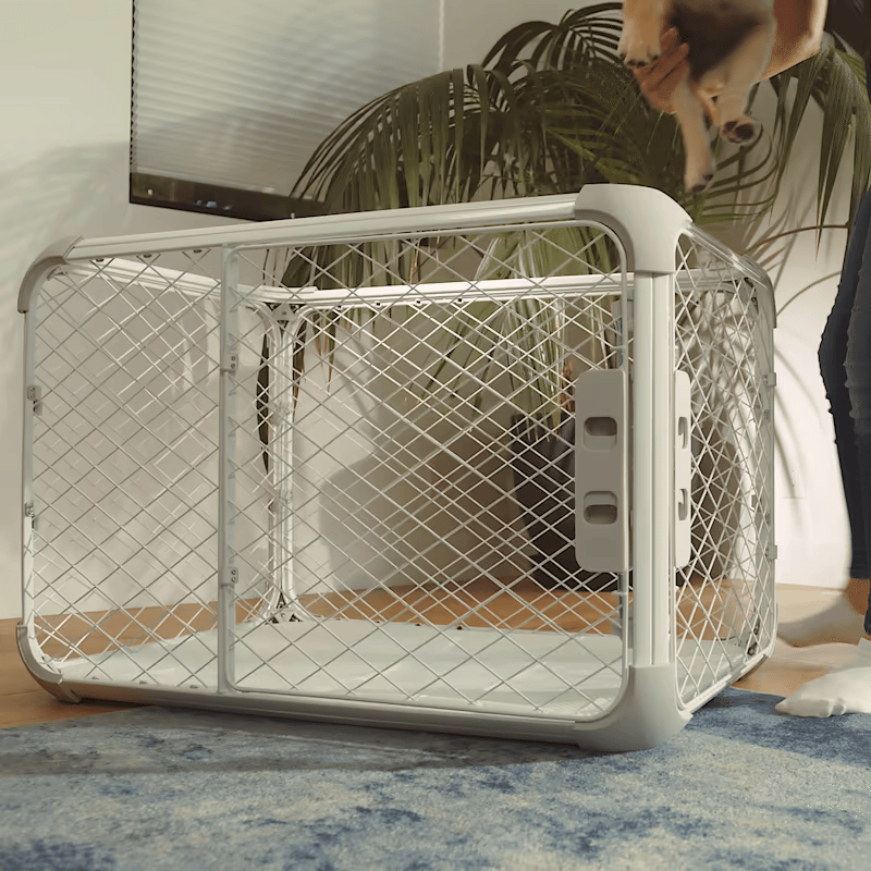 Evolv Dog Crate - Eva Pet - Diggs