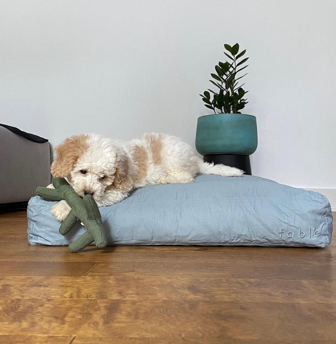 Fable Bed - Eva Pet - Fable Pets