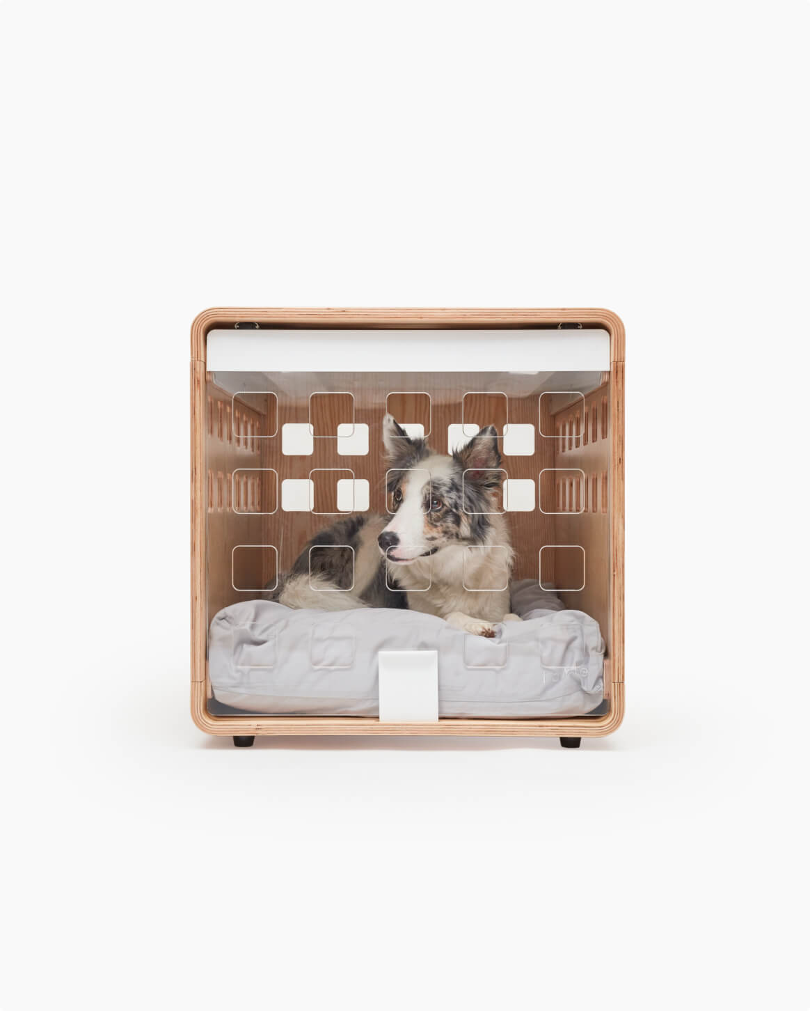 Fable Crate - Eva Pet - Fable Pets