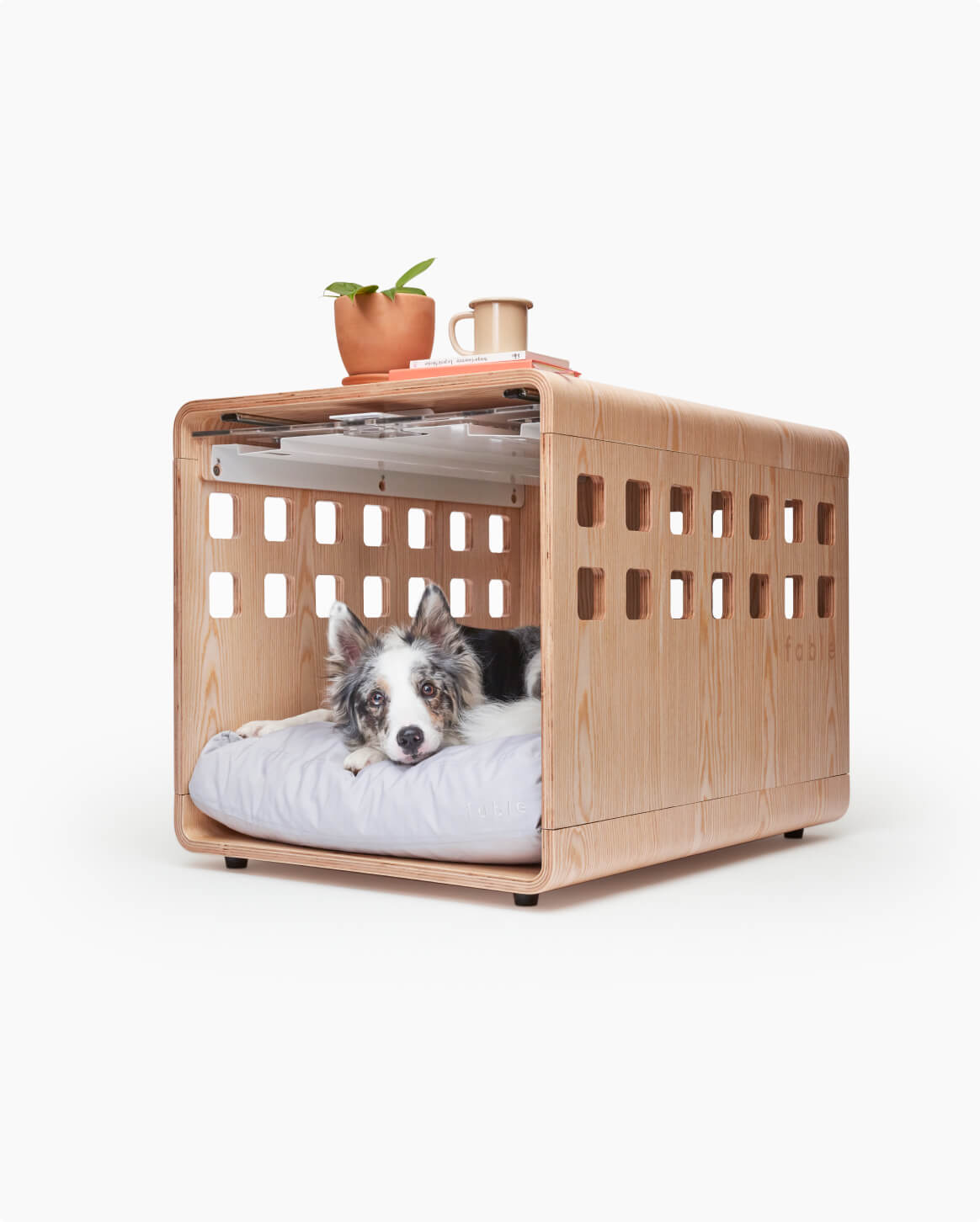 Fable Crate - Eva Pet - Fable Pets