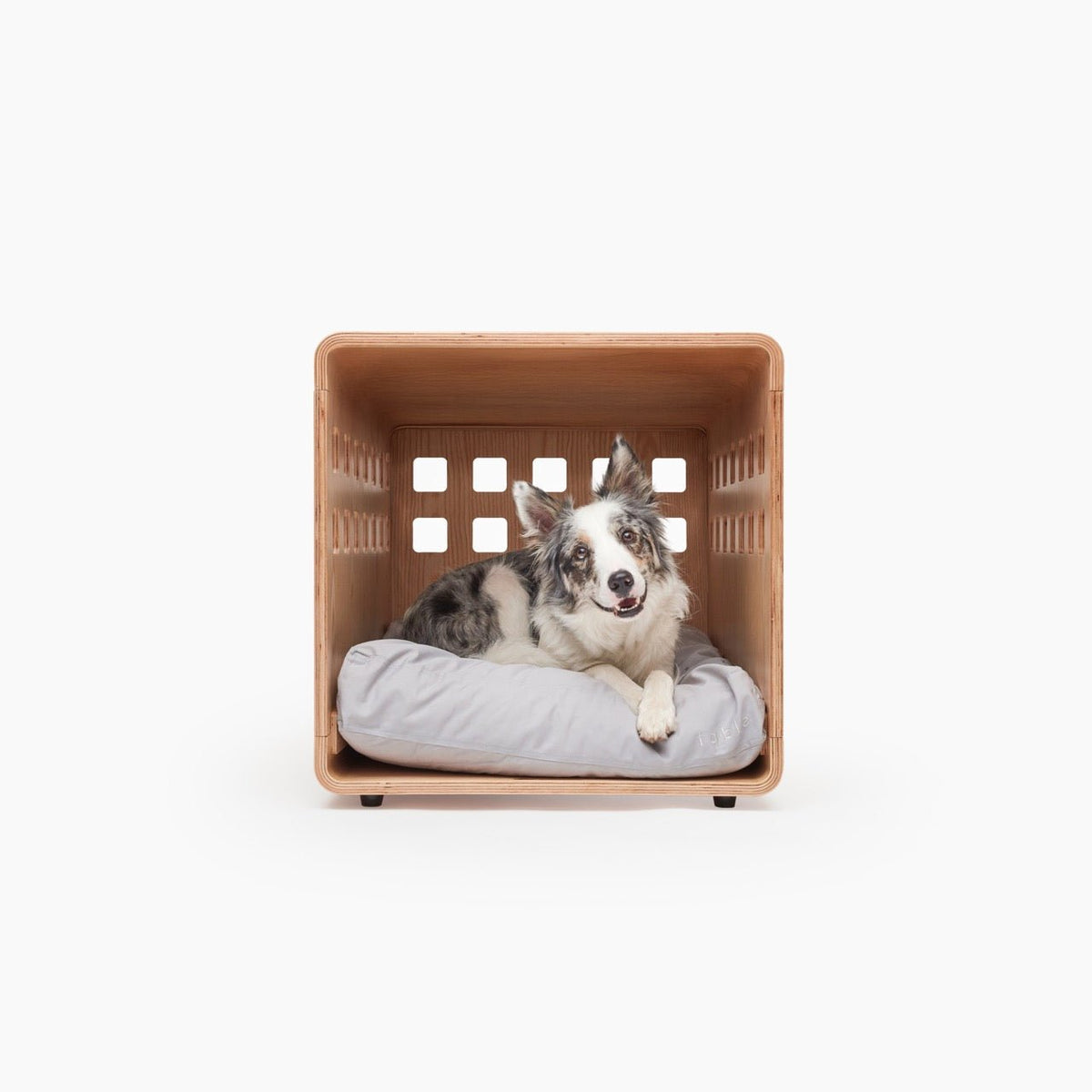 Fable Crate - Eva Pet - Fable Pets