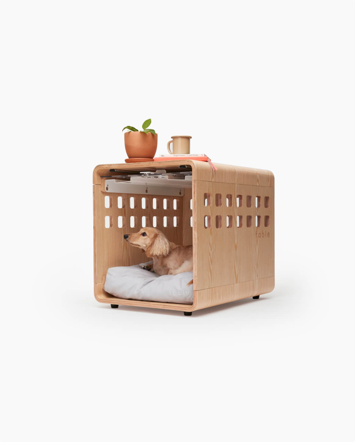 Fable Crate - Eva Pet - Fable Pets