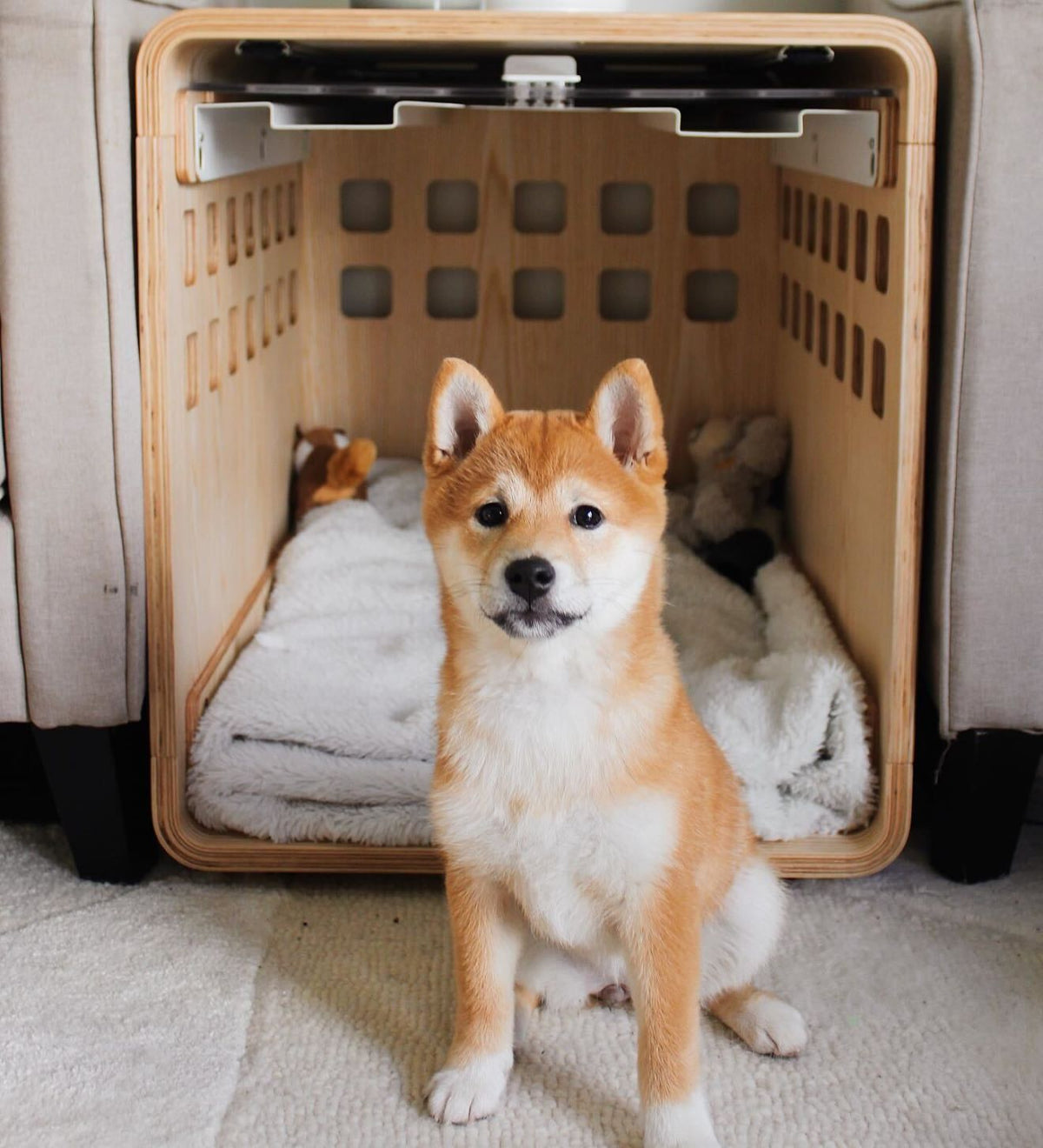 Fable Crate - Eva Pet - Fable Pets
