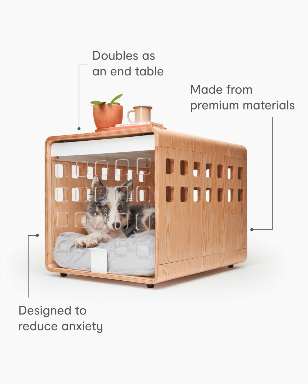 Fable Crate - Eva Pet - Fable Pets