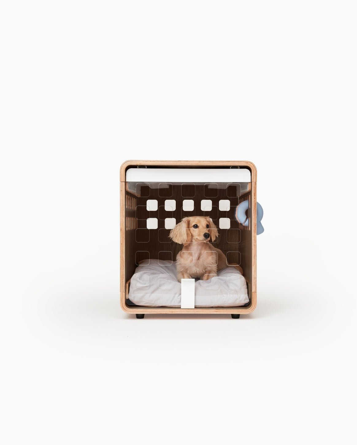 Fable Crate - Eva Pet - Fable Pets