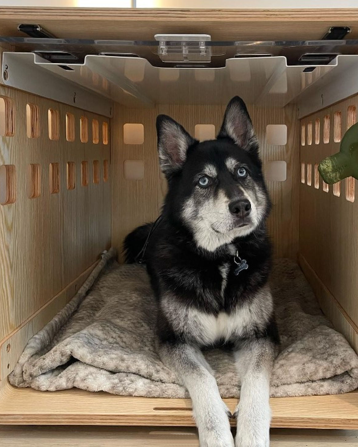 Fable Crate - Eva Pet - Fable Pets