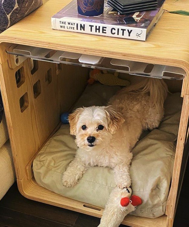 Fable Crate - Eva Pet - Fable Pets