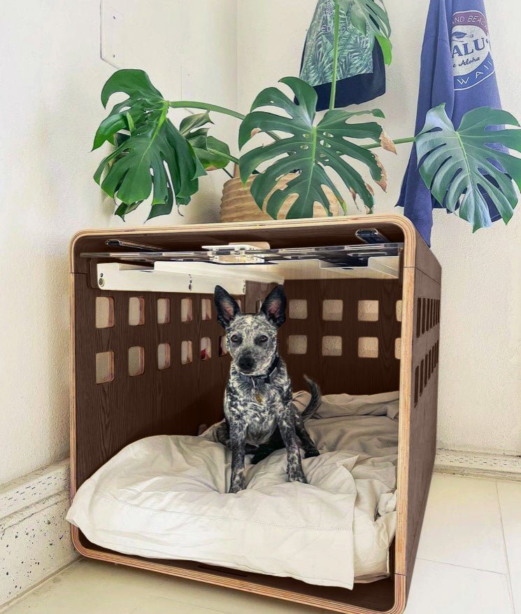 Fable Crate - Eva Pet - Fable Pets