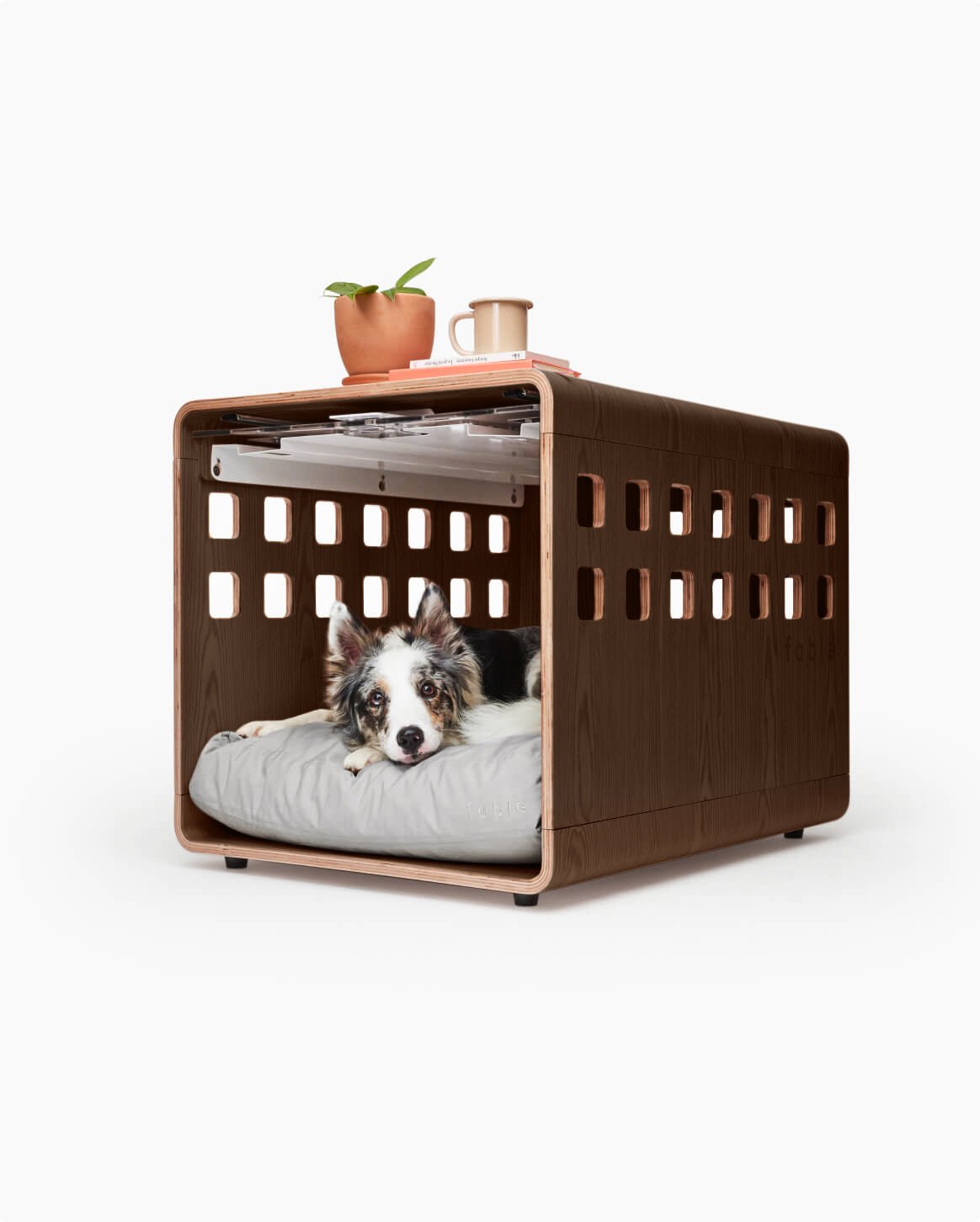 Fable Crate - Eva Pet - Fable Pets