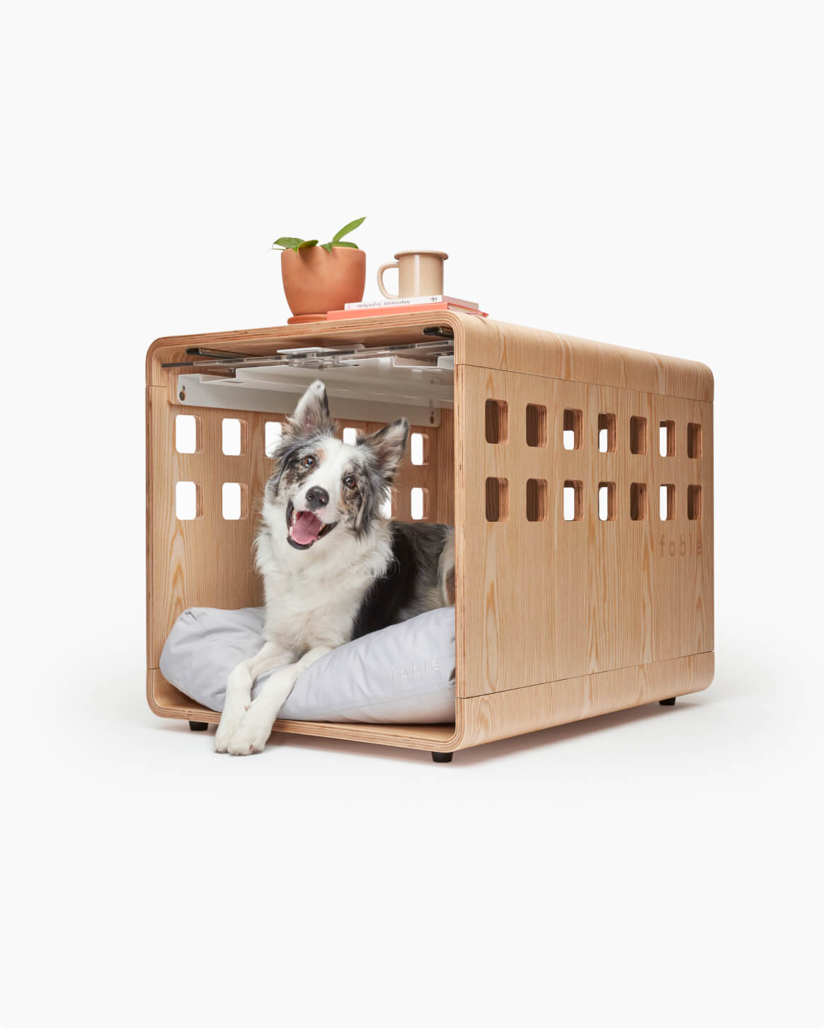 Fable Crate - Eva Pet - Fable Pets