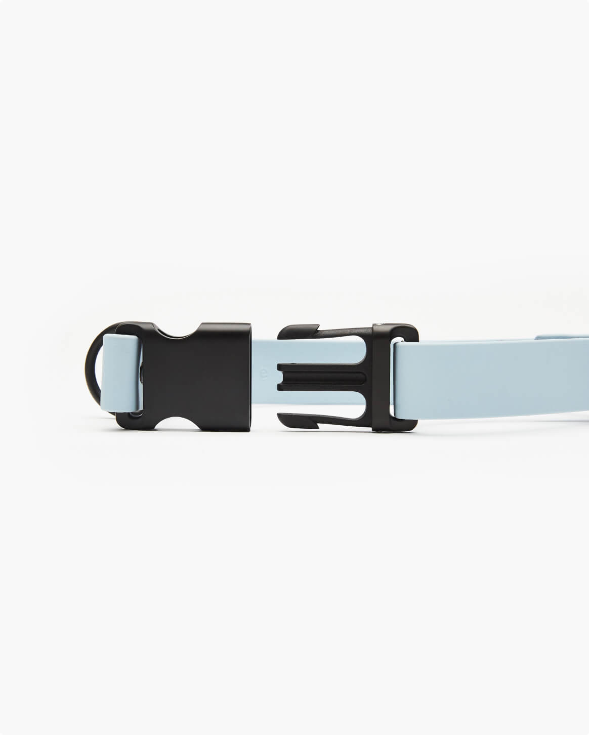 Fable Signature Collar - Eva Pet - Fable Pets