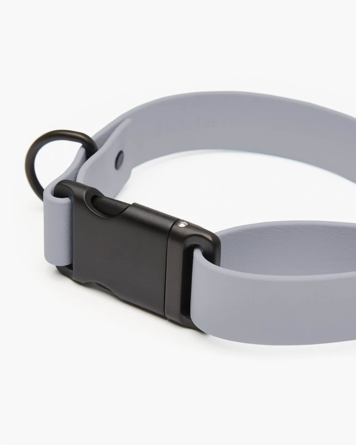 Fable Signature Collar - Eva Pet - Fable Pets