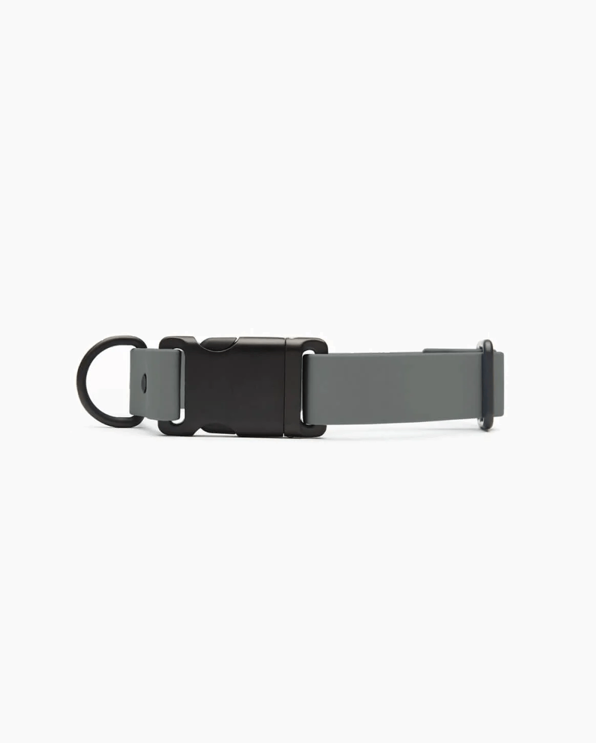 Fable Signature Collar - Eva Pet - Fable Pets