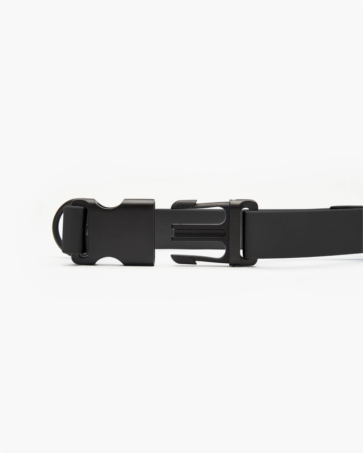Fable Signature Collar - Eva Pet - Fable Pets