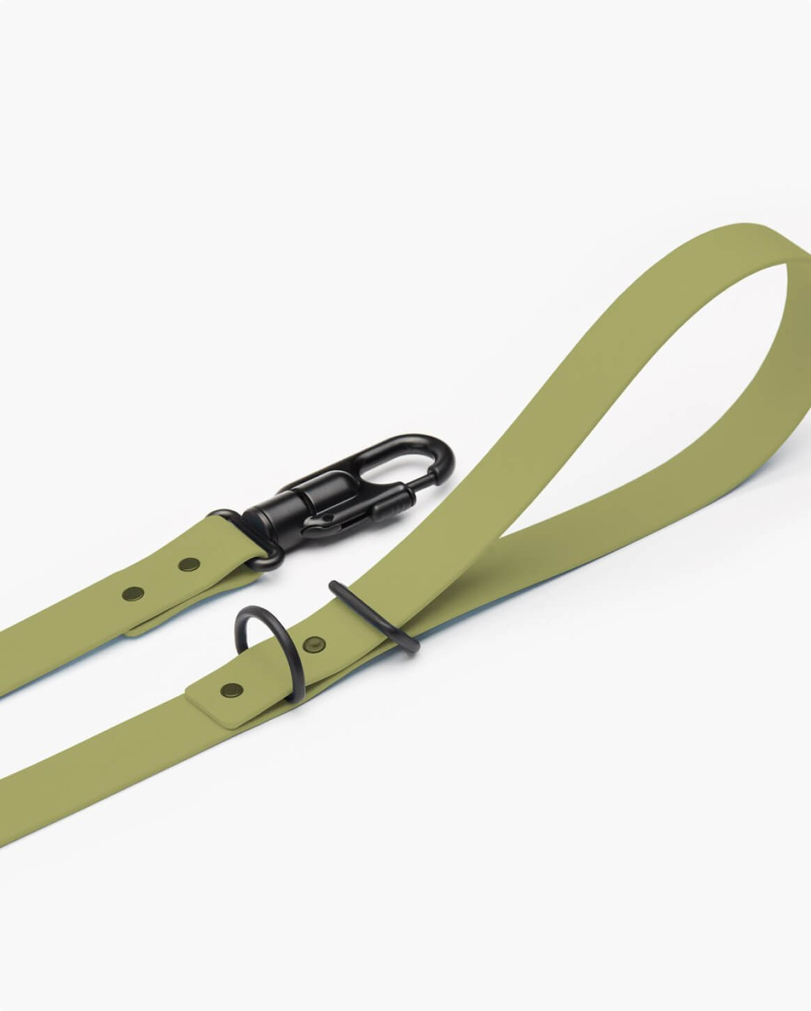 Fable Signature Leash - Eva Pet - Fable Pets