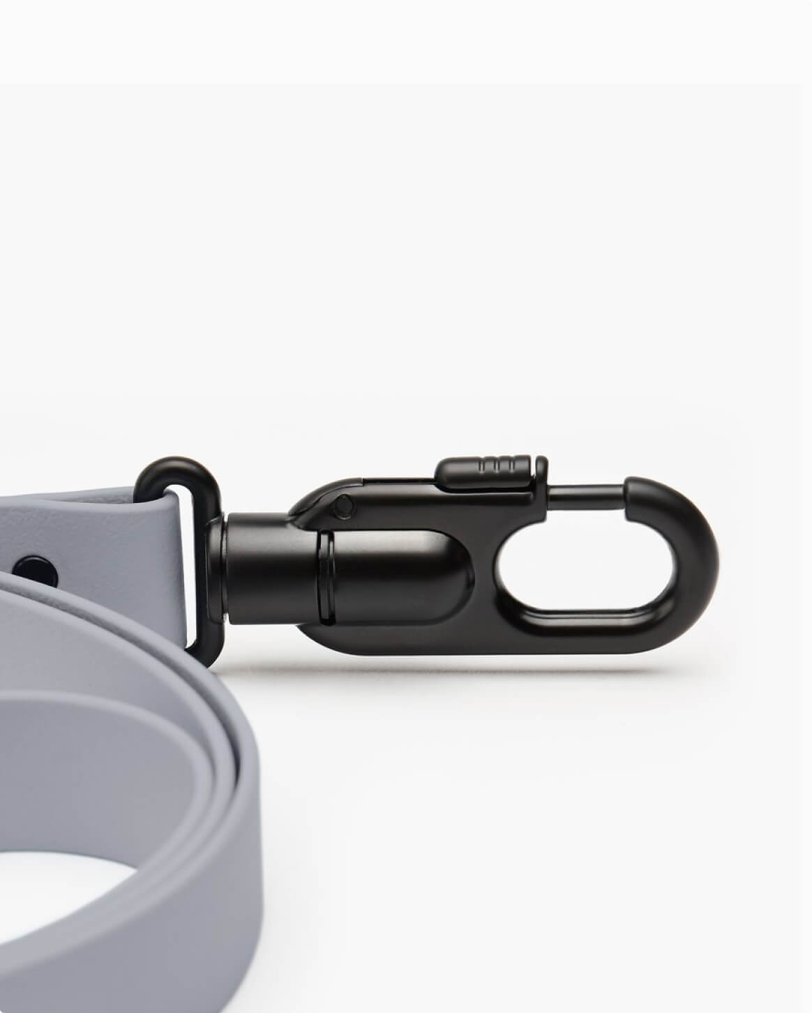 Fable Signature Leash - Eva Pet - Fable Pets