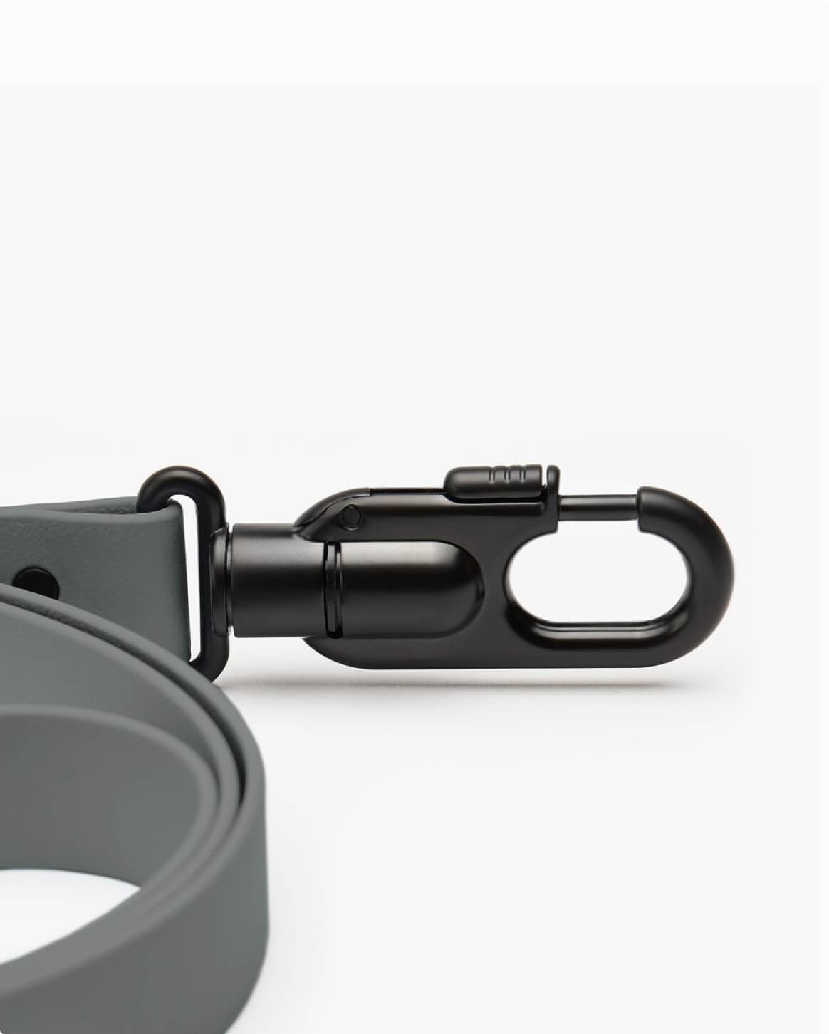 Fable Signature Leash - Eva Pet - Fable Pets