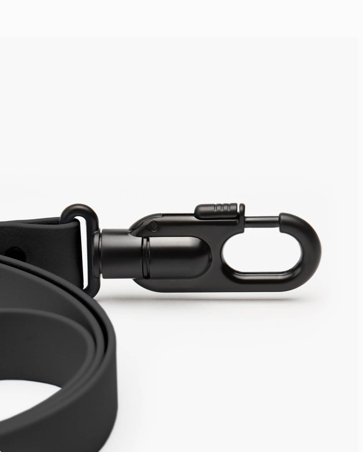 Fable Signature Leash - Eva Pet - Fable Pets