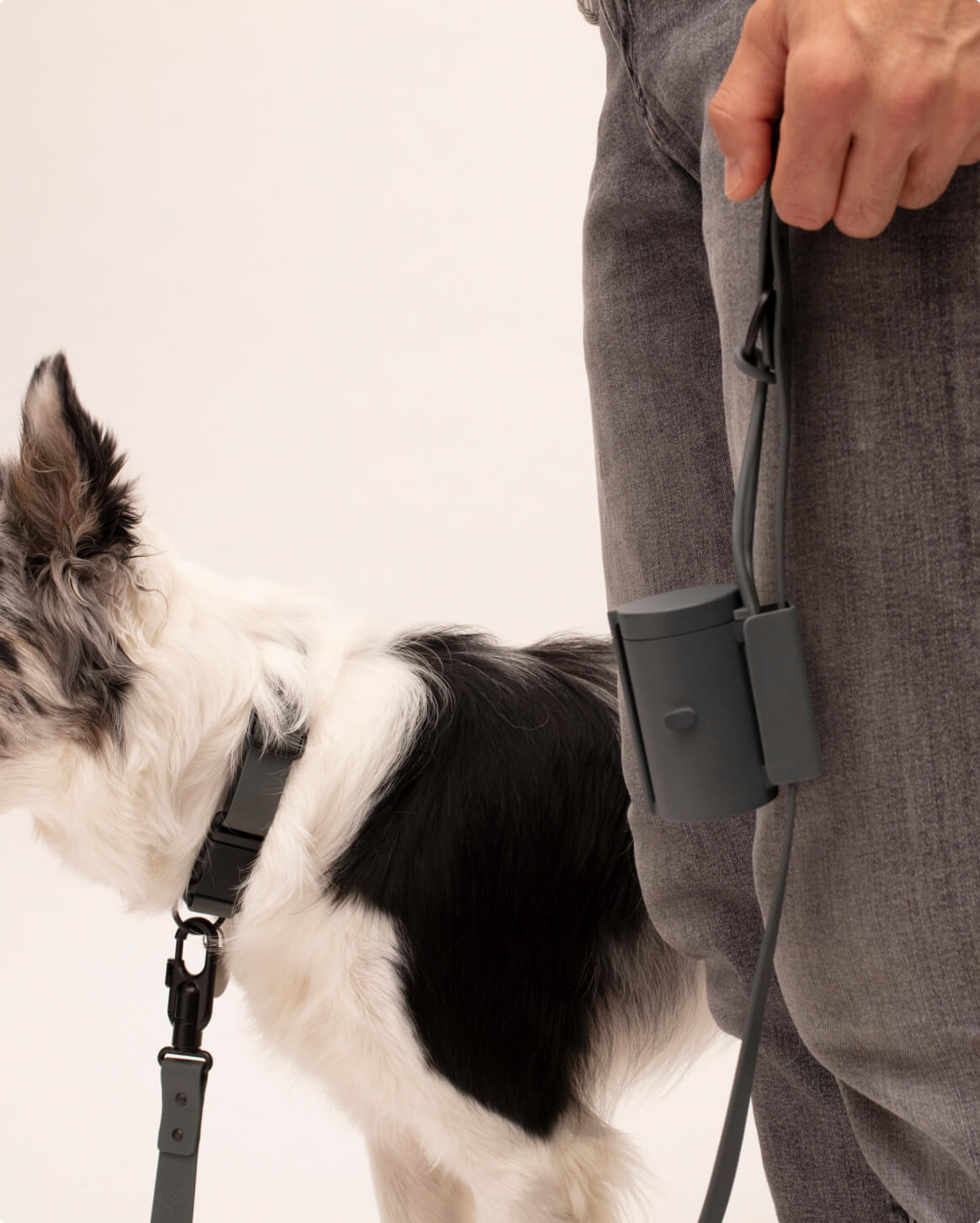 Fable Signature Leash - Eva Pet - Fable Pets