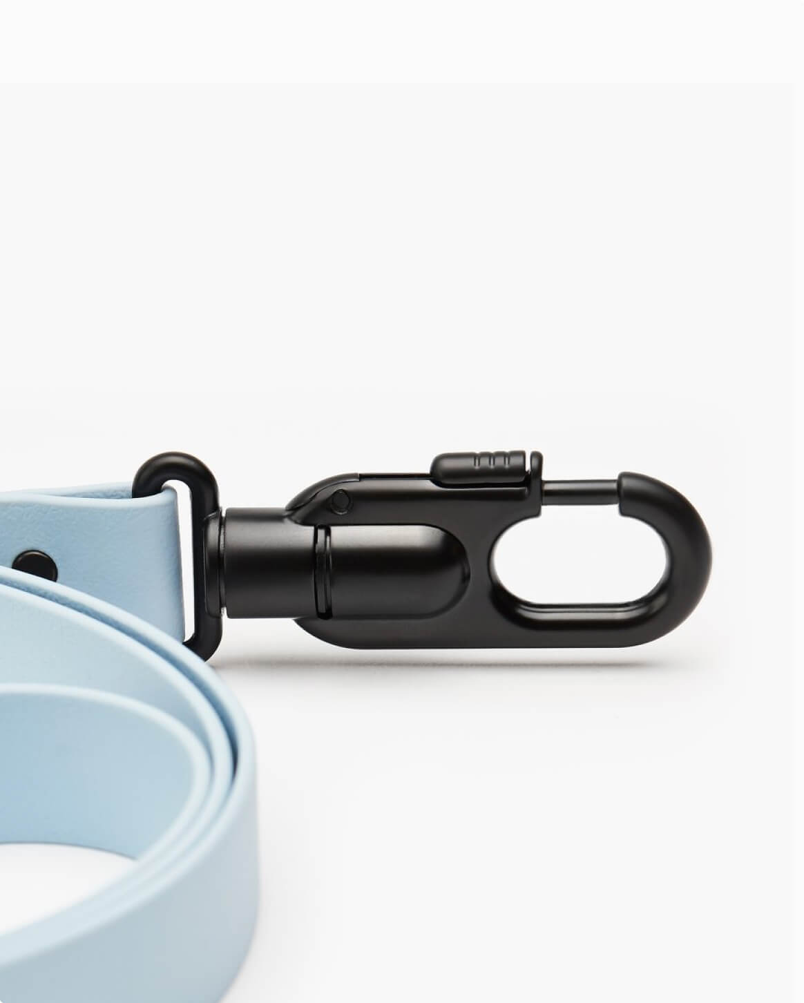 Fable Signature Leash - Eva Pet - Fable Pets