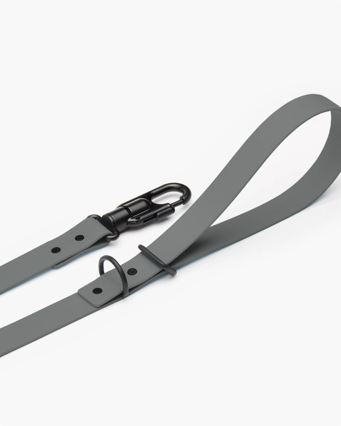 Fable Signature Leash - Eva Pet - Fable Pets