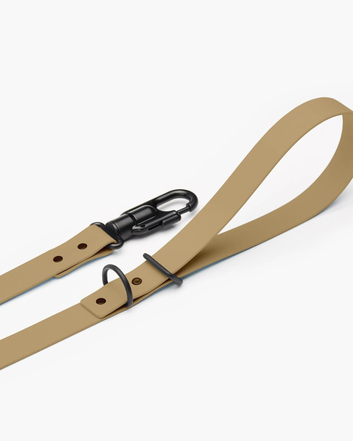 Fable Signature Leash - Eva Pet - Fable Pets