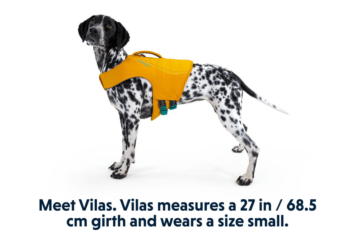 Float Coat™ Dog Life Jacket - Eva Pet - Ruff Wear Inc.