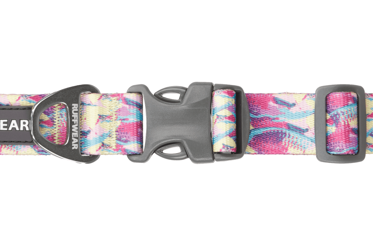 Front Range™ Dog Collar - Eva Pet - Ruff Wear Inc.
