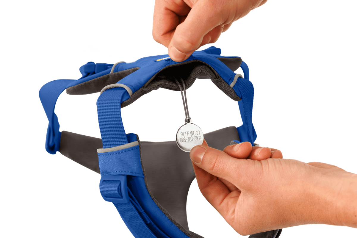 Front Range® Dog Harness - Eva Pet - Ruff Wear Inc.