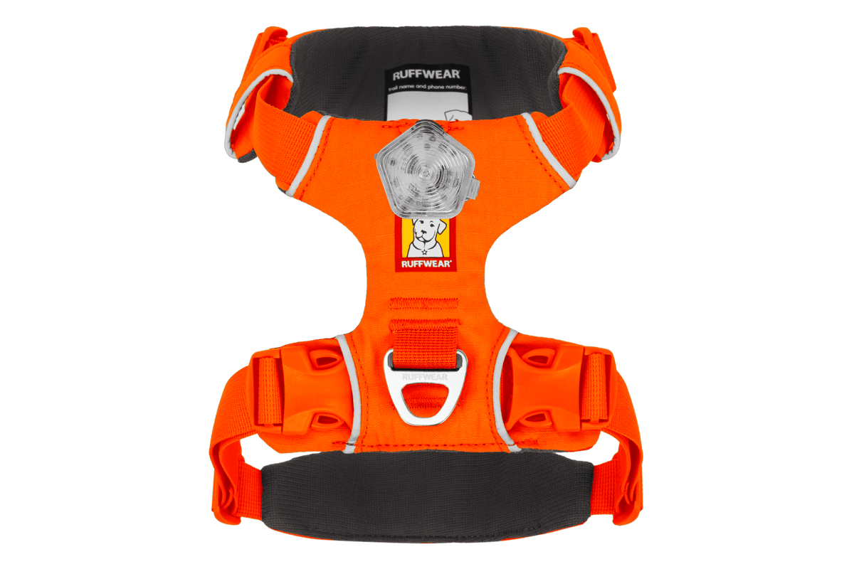Front Range® Dog Harness - Eva Pet - Ruff Wear Inc.