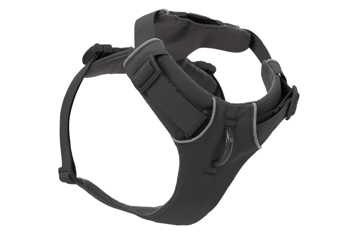 Front Range® Dog Harness - Eva Pet - Ruff Wear Inc.