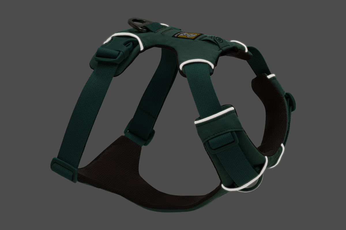 Front Range® Dog Harness - Eva Pet - Ruff Wear Inc.