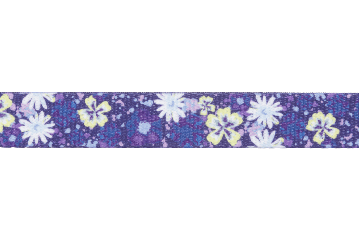 Front Range™ Dog Leash - Eva Pet - Ruff Wear Inc.