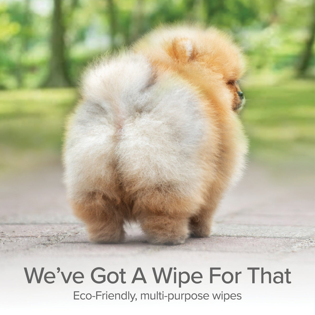 Grooming and Cleansing Wipes (Lavender and Rosemary) - Eva Pet - Pure and Natural Pet