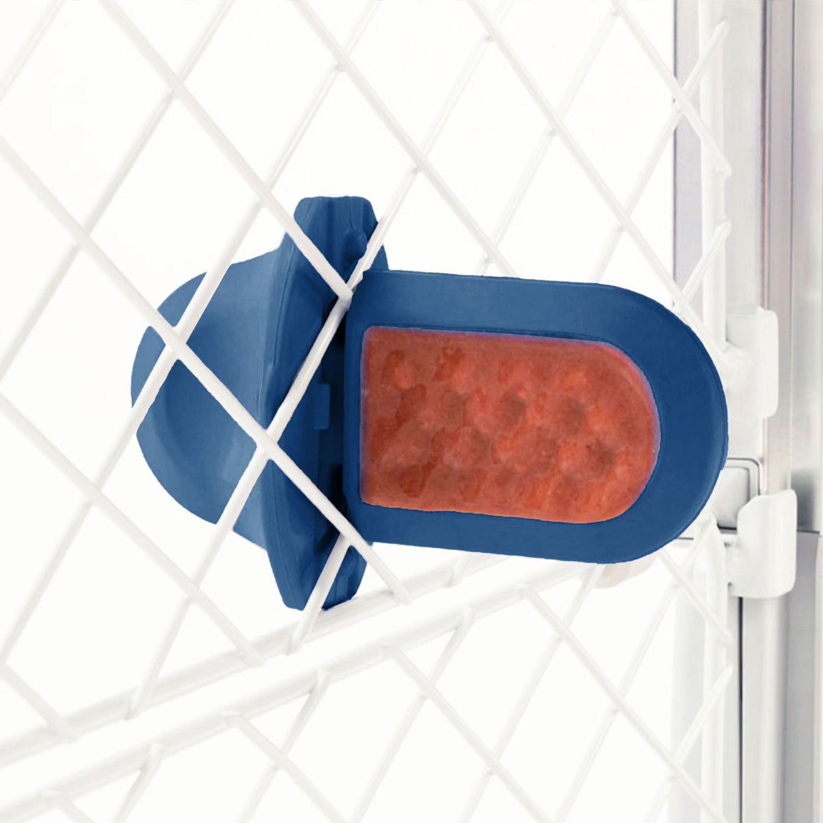 Groov Training Aid - Eva Pet - Diggs