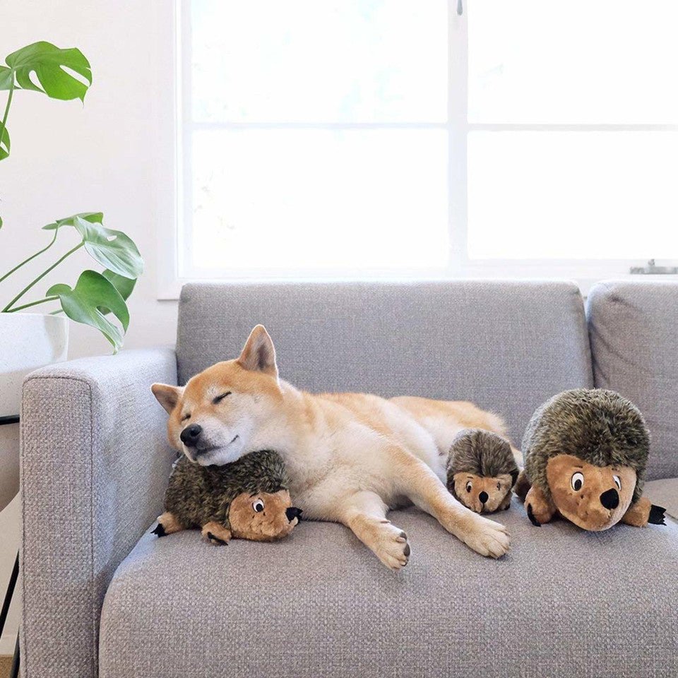 Hedgehogz Dog Toy - Eva Pet - Outward Hound