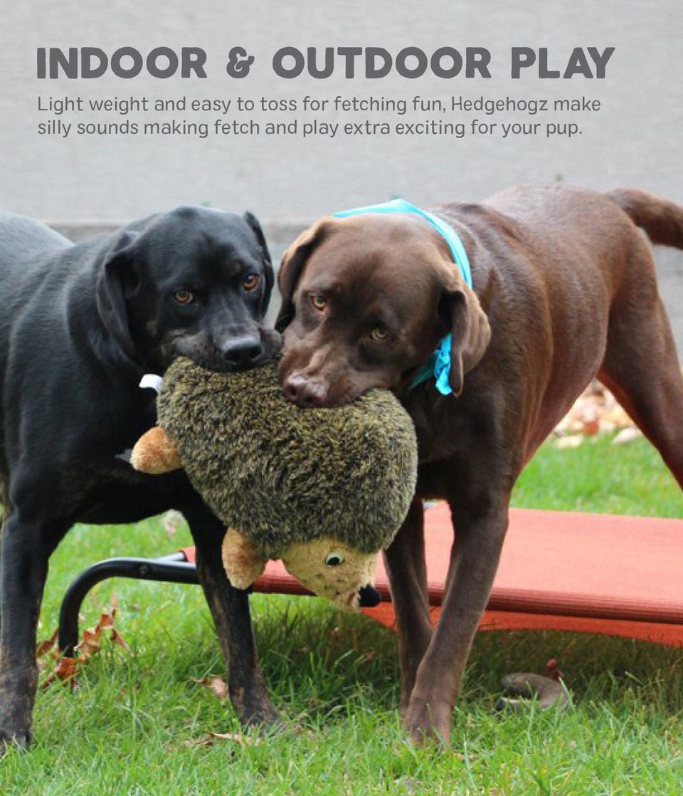 Hedgehogz Dog Toy - Eva Pet - Outward Hound