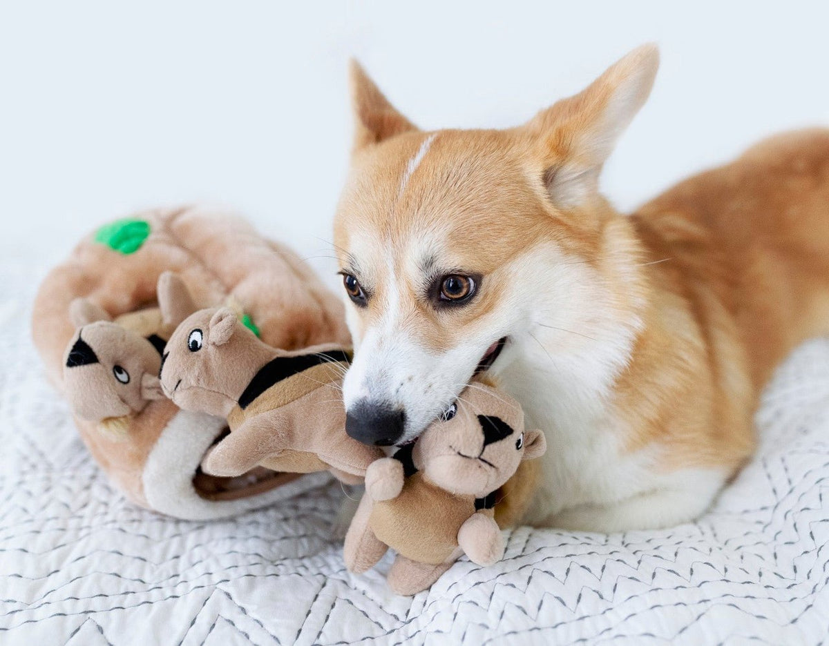 Hide A Toy Plush Puzzle Toy - Eva Pet - Outward Hound